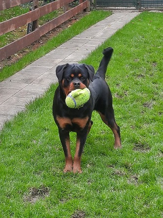 Wicky 19.10.2025.jpg